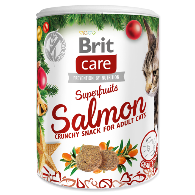 Picture of BRIT Care Cat Christmas Superfruits  100 g